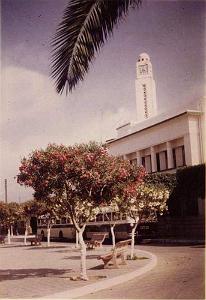 AIN EL TURCK (1100)